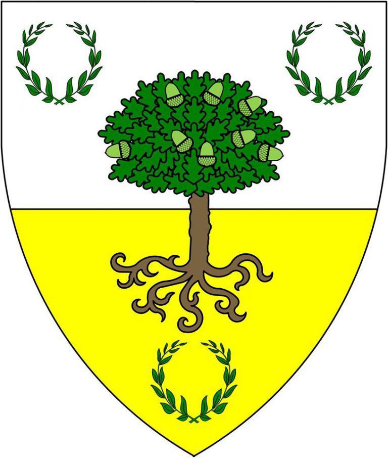 Ynys y Gwaed Device